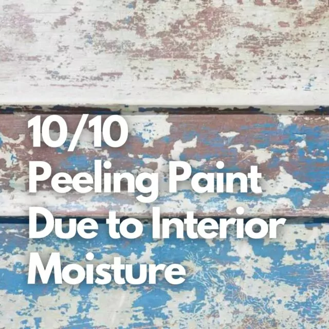 10 Common Exterior Paint Problems and How to Fix Them. Stick around for this series to be able to identify and resolve the most common of painting mistakes and recommendations from the pro's on how to fix them. 10/10 - The last cause of peeling paint is interior moisture, characterized by cracking and gentle peeling away of the paint from the substrate as it loses adhesion due to the moisture. Moisture originating from behind the paint film, or frontal moisture that forces its way through the paint film, can create this type of paint failure.Possible Causes*High humidity areas, such as bathrooms, kitchens, hot tubs, and wet basement areas, have created humidity that penetrated the paint film.*Leaking flashing around a chimney or other exterior wall/roof intersection has allowed water to seep into the house and wet the plaster from behind the paint film, causing the paint to separate from the substrate. Repair and Prevention*Ventilate high-moisture areas such as bathrooms by providing an exhaust vent fan that removes humidity and discharges it to the outside.*Ensure proper ventilation of the roof, walls, and soffits.*Repair missing or damaged flashing at chimney or other wall/roof connections.*Scrape away old peeling paint and feather-sand affected areas. Spot prime bare area. Paint with high-quality acrylic latex paint......#minutemaidpark #pelicansgameday #lastdance #instagramers #housedesign #homedecor #painters #interiorpainter #interiorpaint #interiorpainting #customremodeling #interiordesigner #contractorlife #remodeling #homeremodelingideas #homeremodeling #customhomeremodeling #remodel #interior #interiorpainters #interiorgoals #homedesignideas #grandrapidsmi #paintcontractor #commercialpainting #housedesign #homedecor #painters #interiorpainter #interiorpaint